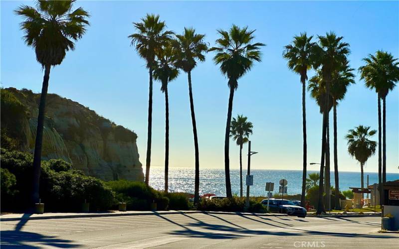 Calafia State Beach