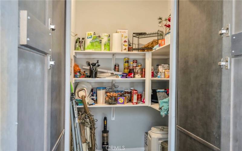 Lots of storage in the pantry