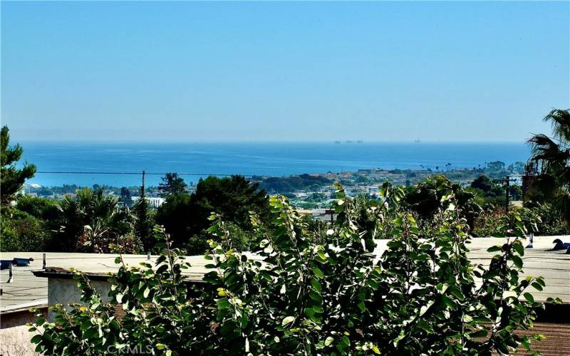 Ocean views in the distance from Community Pool Area