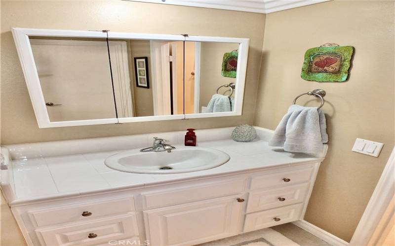 Bath Vanity Area