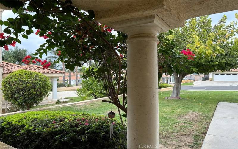 Front yard view from house