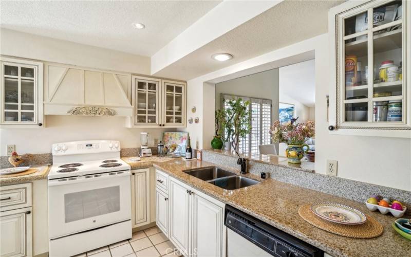 Stainless sink, granite countertops, beautiful range hood.