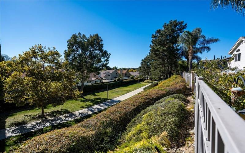 Walking trail behind and below the backyard