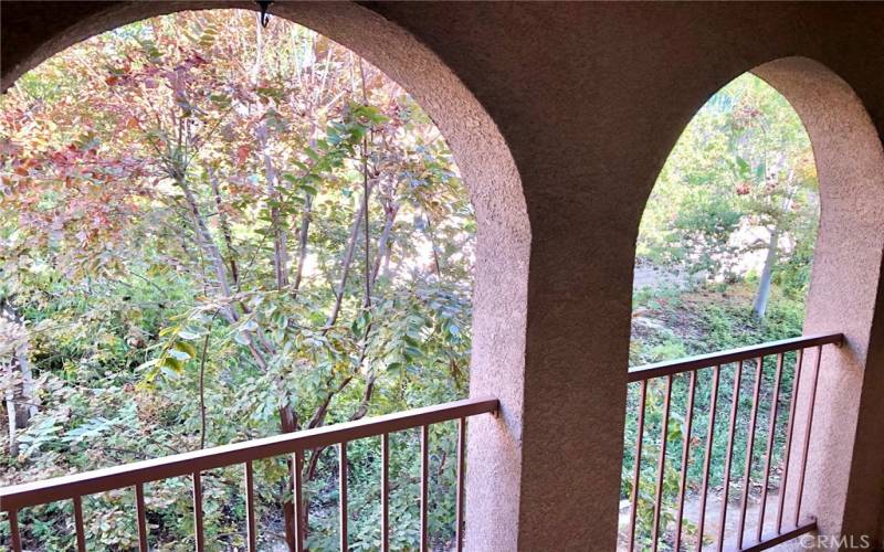 covered deck overlooking greenbelt trees