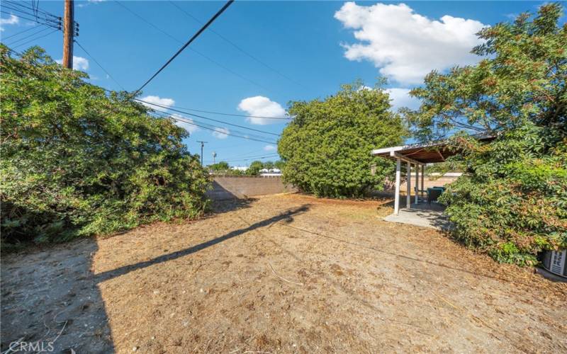 expansive backyard