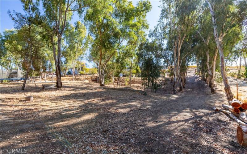 driveway access to the back of the property