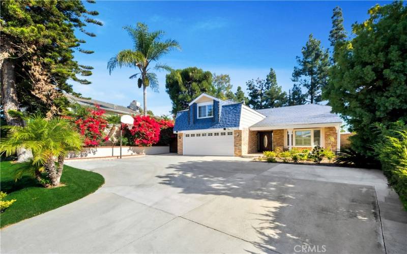 Expansive driveway and basket ball hoop!