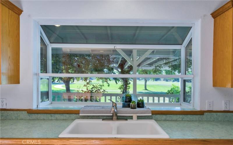 Greenhouse window over the kitchen sink