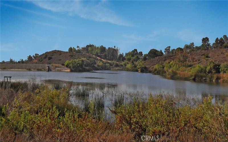 The views from Peters Canyon are amazing!