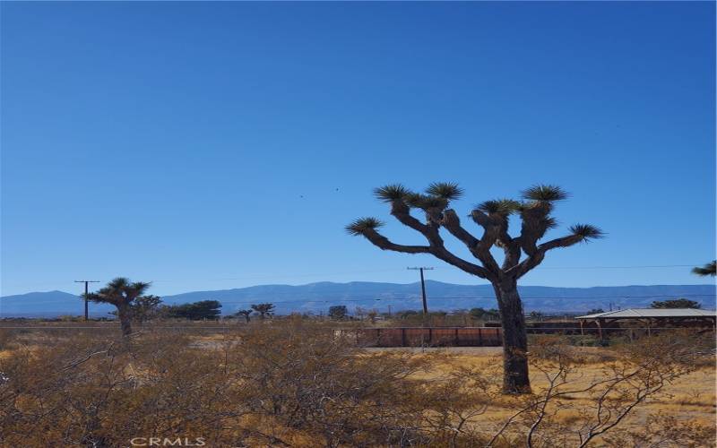 View of Mountains from Property