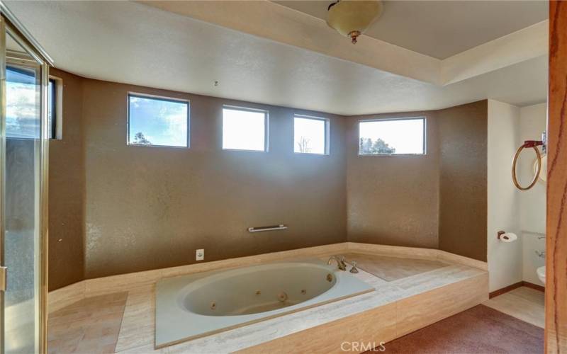 Master Bathroom Jetted Tub