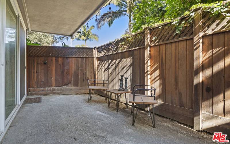 Spacious Patio off of the Living Room