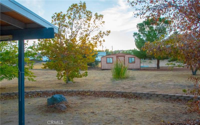 Rear yard with Shed, mature landscaping and rear patio