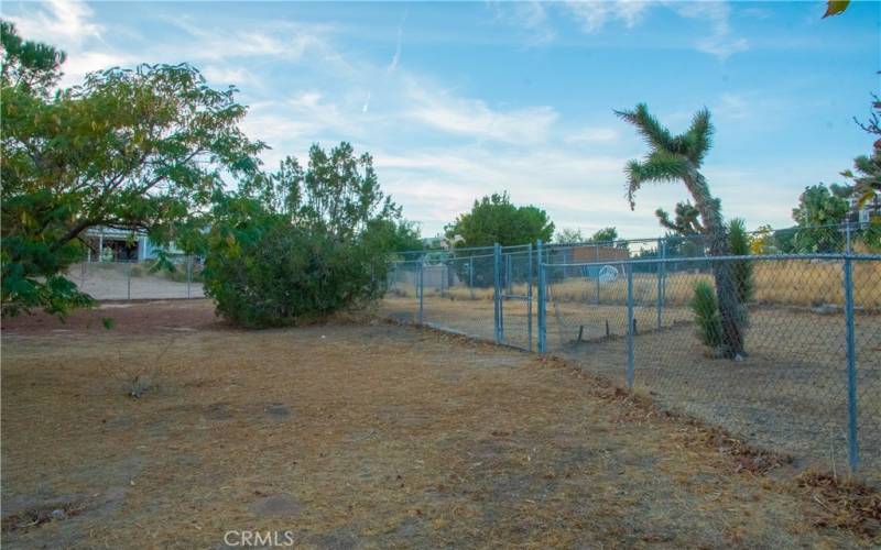 Cross fencing for dog run or garden