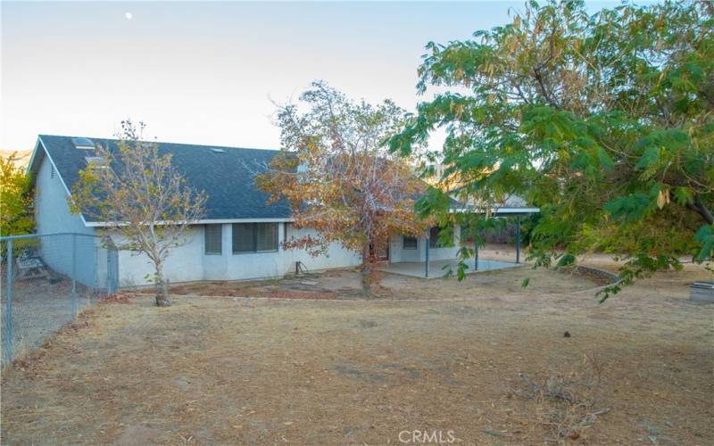 Rear yard with Shed, mature landscaping and rear patio