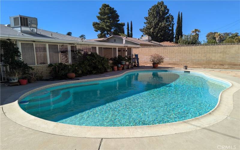 Backyard pool