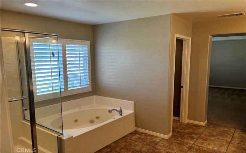 MASTER BATH TUB, SHOWER AND WATER CLOSET