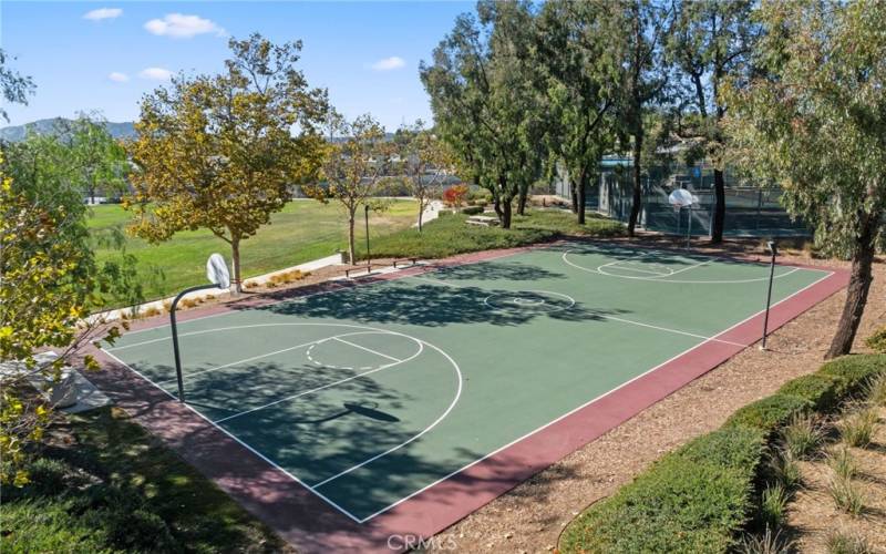 Basketball court