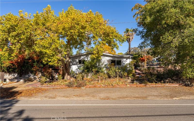 Side yard and rose garden from Atascadero Ave