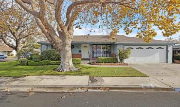 Corner Lot on Tree-Lined Street