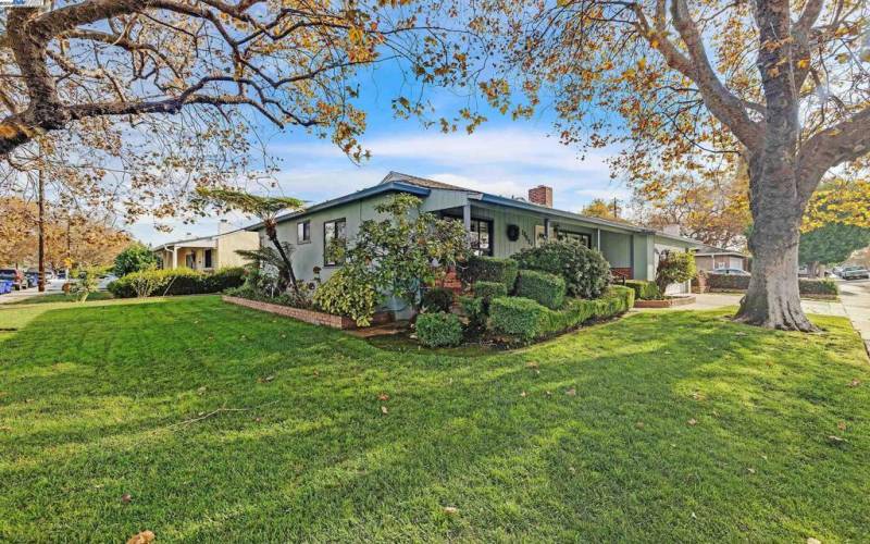 Gorgeous mature trees and landscaping