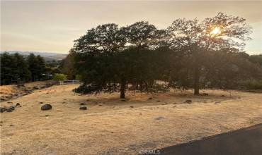 Private treed lot on quiet cul de sac.