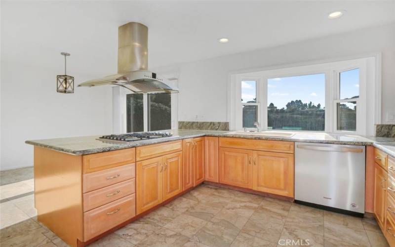 Kitchen Stainless Steel Hood