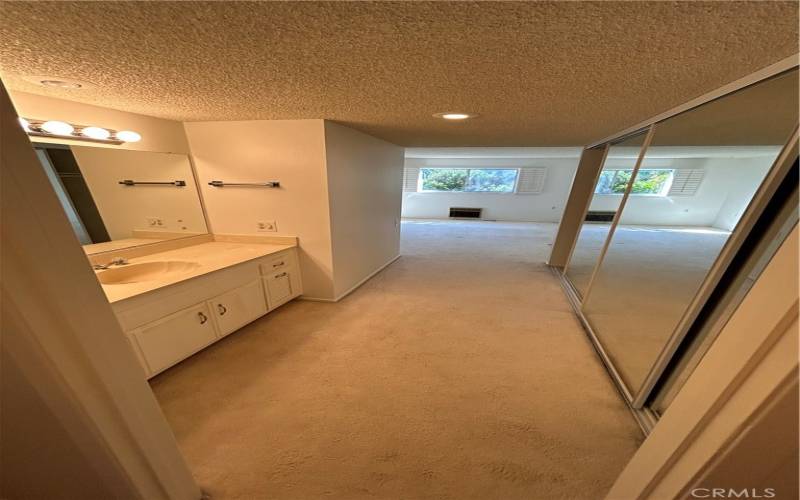 View from the Primary bathroom shower area.