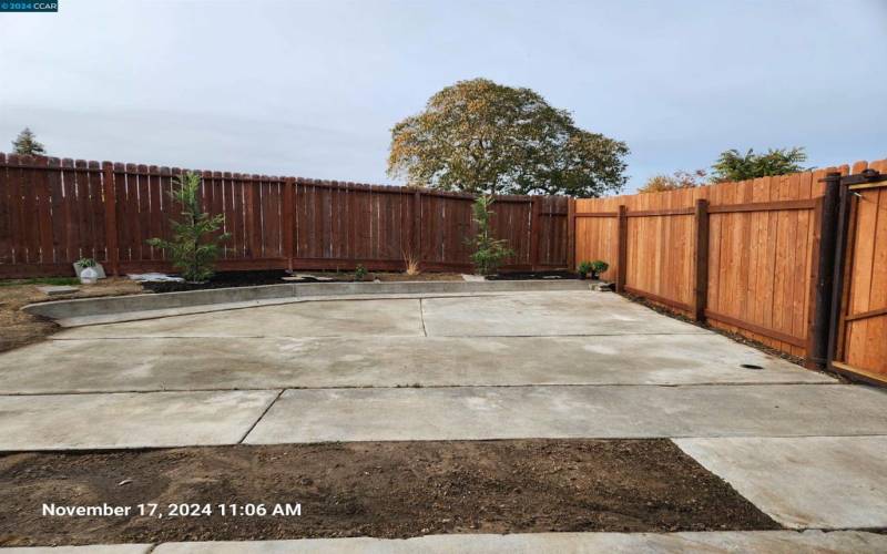 w/ 2 newly planted Leyland Cypress shade Trees