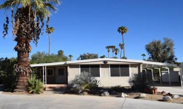 1010 Palm Canyon Drive 90