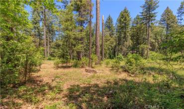 0 Hidden Lake Lane, Magalia, California 95954, ,Land,Buy,0 Hidden Lake Lane,OC24235165