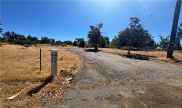 817 Camellia Drive, Paradise, California 95969, ,Land,Buy,817 Camellia Drive,SN24235198