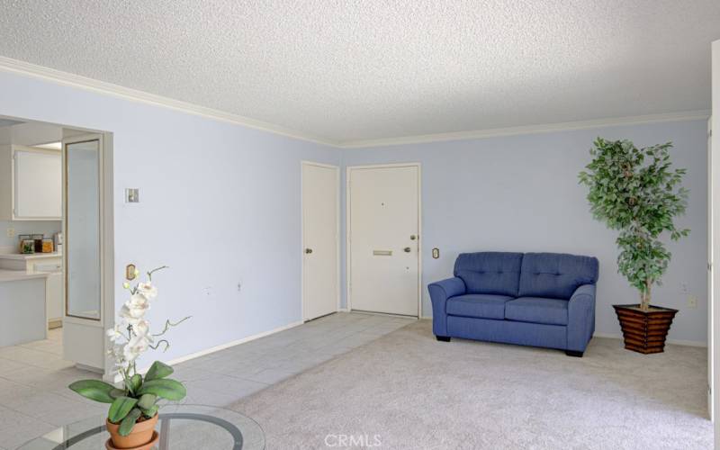 Pretty crown molding in the living room and there's a nice coat closet in the living room next to the front door.