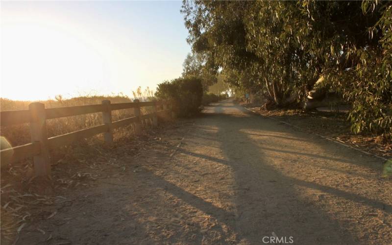 Trails in the Carpinteria Bluffs Nature Preserve near the subject property