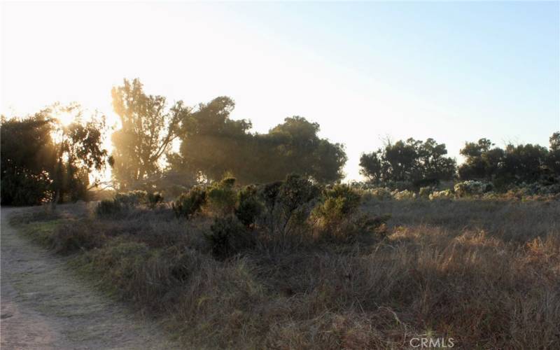 Trails in the Carpinteria Bluffs Nature Preserve near the subject property