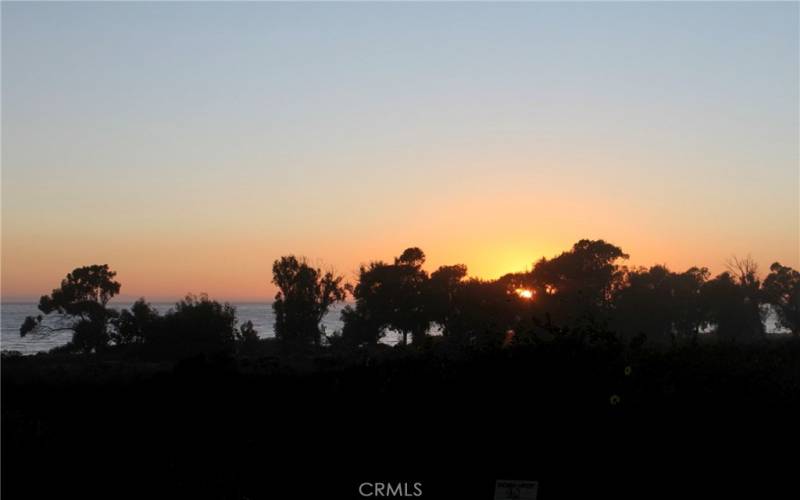 Views in the Carpinteria Bluffs Nature Preserve near the subject property