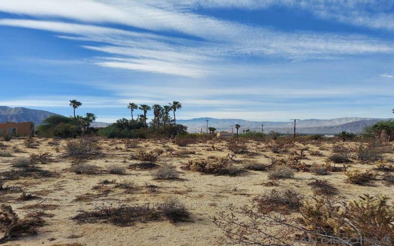 View from Front door, to the West and North (Borrego Springs Resort and Spa is nearby)