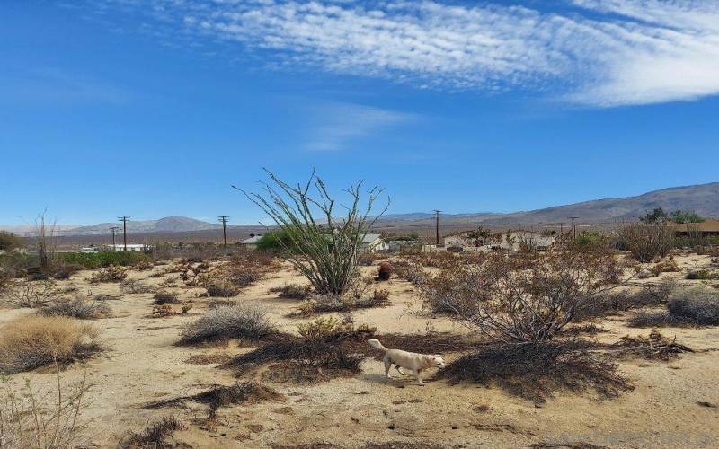 View of the parcel and how it expands as you move east, views of the valley.