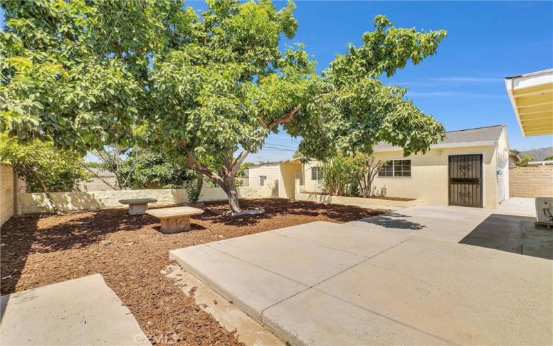 BACKYARD & SIDE OF GARAGE