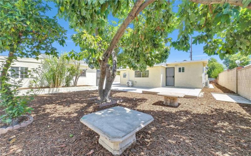 BACKYARD & SIDE OF GARAGE