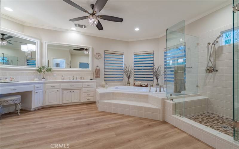 Master Bedroom Bath with new relaxing soaking tub.