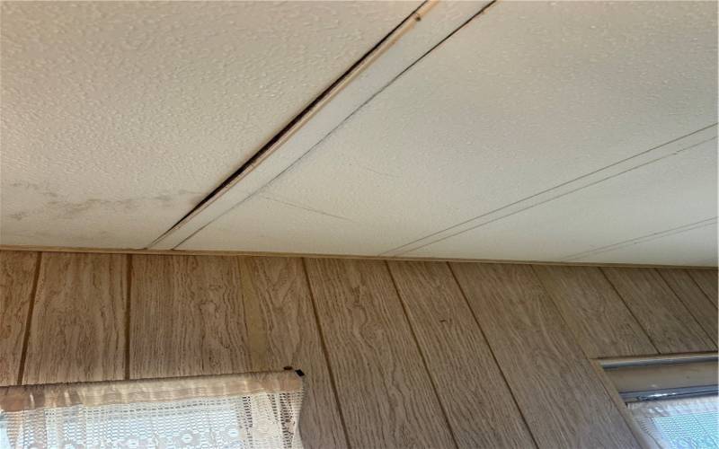 Dining-kitchen ceiling view