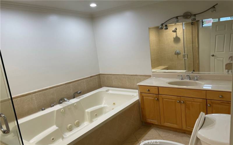 Primary Suite Bath