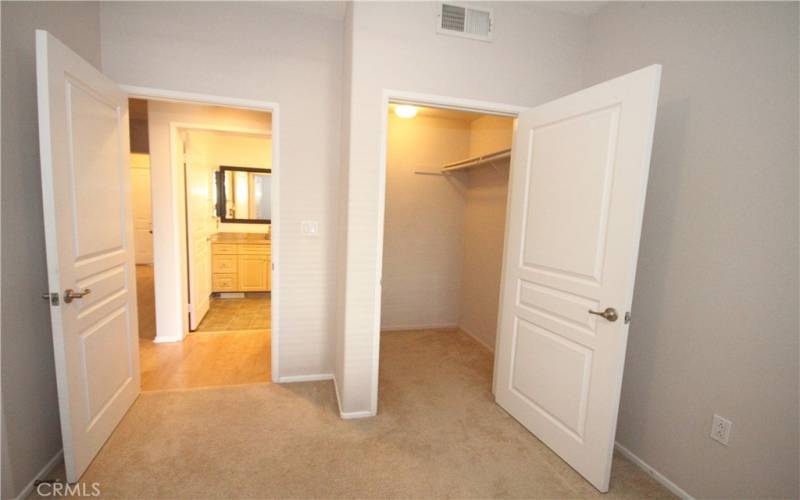 Bedroom with walk-in closet