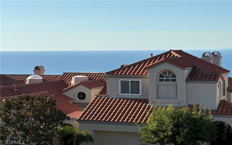 Ocean and Coastline Views