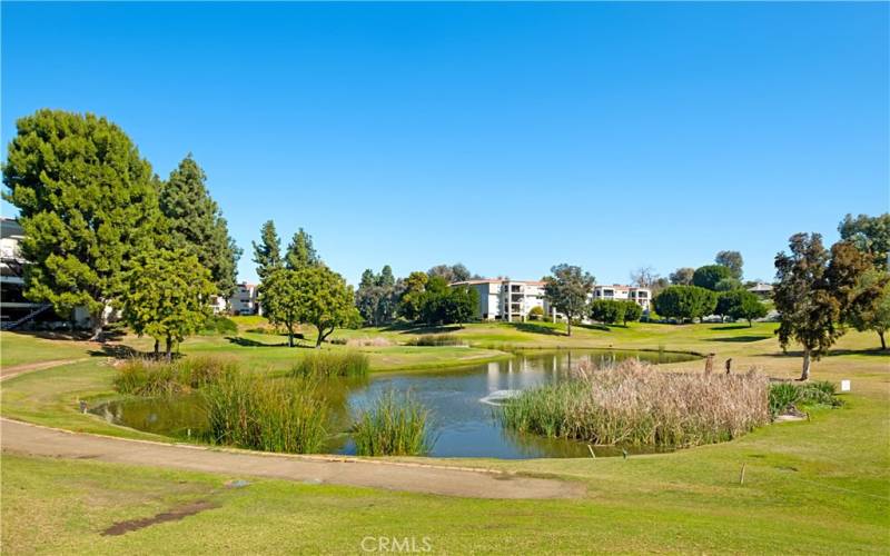 Another view of golf course.