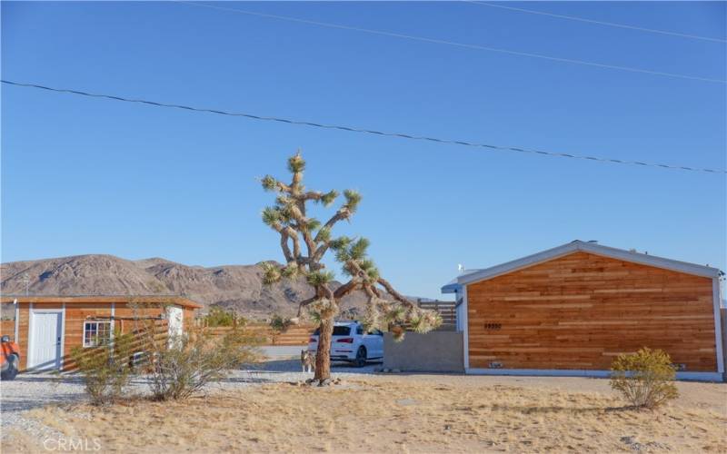 Parking area - home on the right, homestead cabin on the left