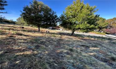 7826 Evergreen Drive, Kelseyville, California 95451, ,Land,Buy,7826 Evergreen Drive,LC24235782