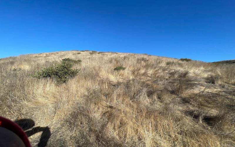 view from bottom south of lot to top north