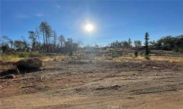 5585 De Sante Lane, Paradise, California 95969, ,Land,Buy,5585 De Sante Lane,SN24235885